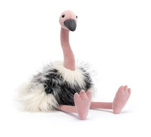 Load image into Gallery viewer, Ramonda Ostrich
